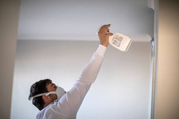 Best Mold Testing  in Green Valley, MD
