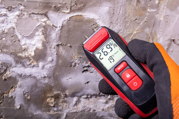 Best Emergency Mold Removal  in Green Valley, MD