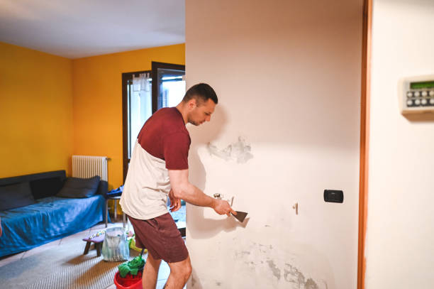 Best Home Mold Removal  in Green Valley, MD