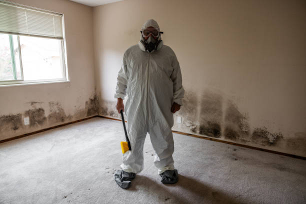 Best Commercial Mold Removal  in Green Valley, MD